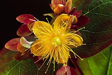 Embracer计划在2026年4月前发售超过25款3A游戏